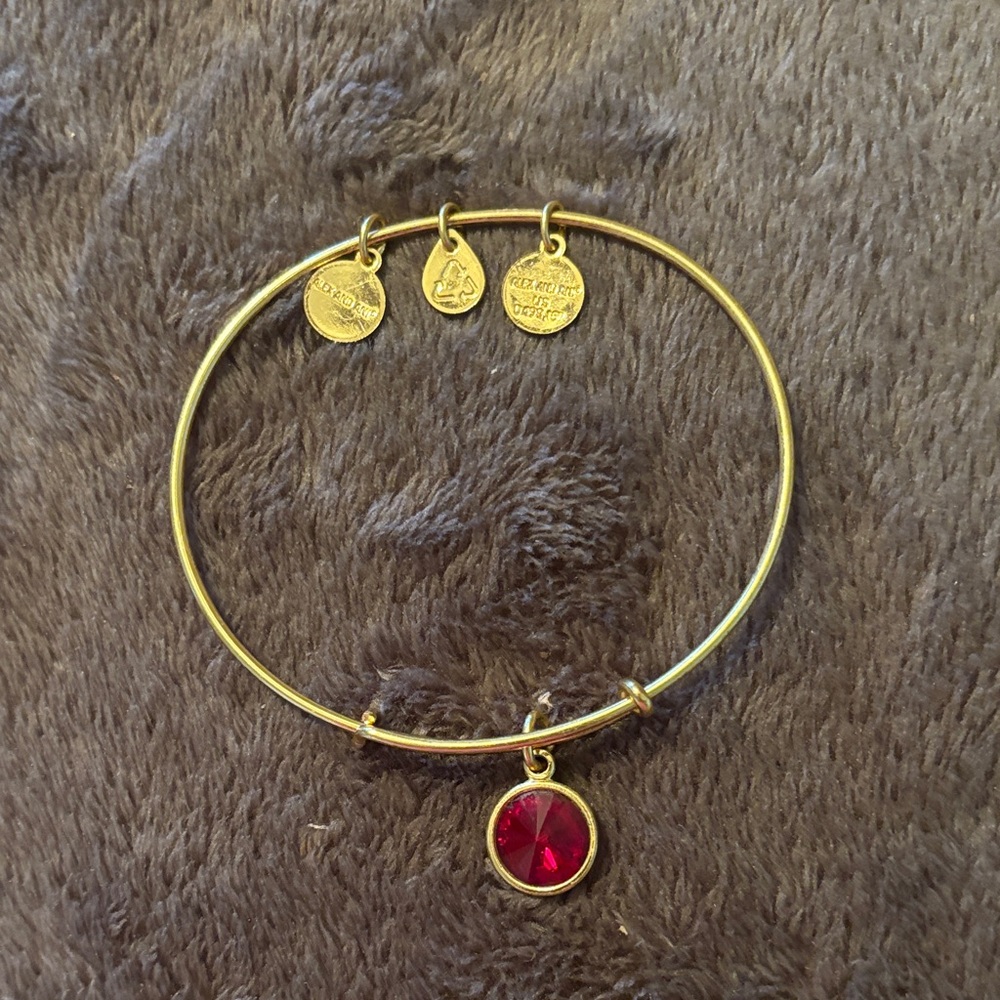 Alex and Ani Gold Bracelet with Red Charm